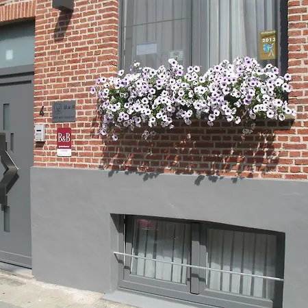 Het Wit Beertje Bed & Breakfast